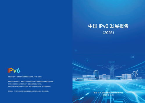 IPv6在我國(guó)實(shí)現(xiàn)跨越式突破 網(wǎng)絡(luò)技術(shù)開(kāi)發(fā)驅(qū)動(dòng)2025年活躍用戶(hù)達(dá)8.65億