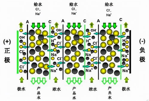 輕松買 放心用 低成本 讓edi技術(shù)走進(jìn)普通實(shí)驗(yàn)室