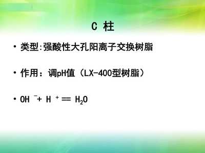 【樹脂在果汁加工中的應用】PPT模板